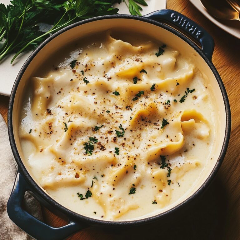 Hearty White Chicken Lasagna Soup Recipe