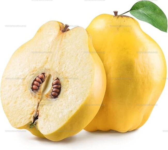 Quince