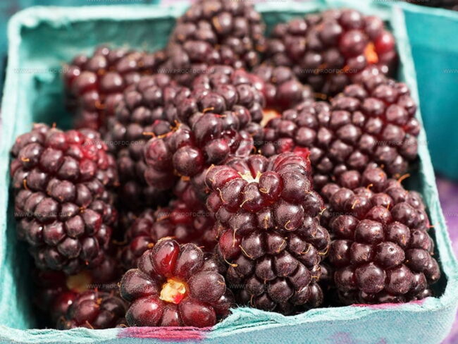 Are Boysenberries Sweet or Sour?