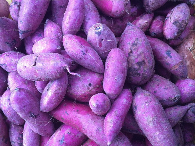 Can You Grow Ube?