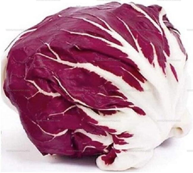 Radicchio