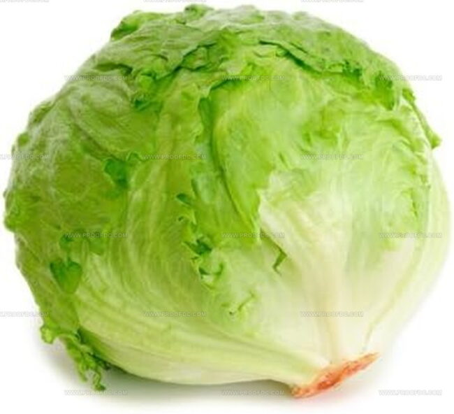 Lettuce