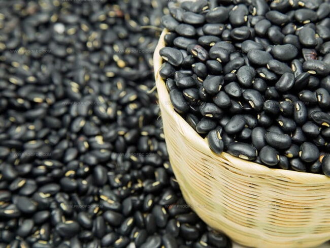 Black Beans: The Complete Guide