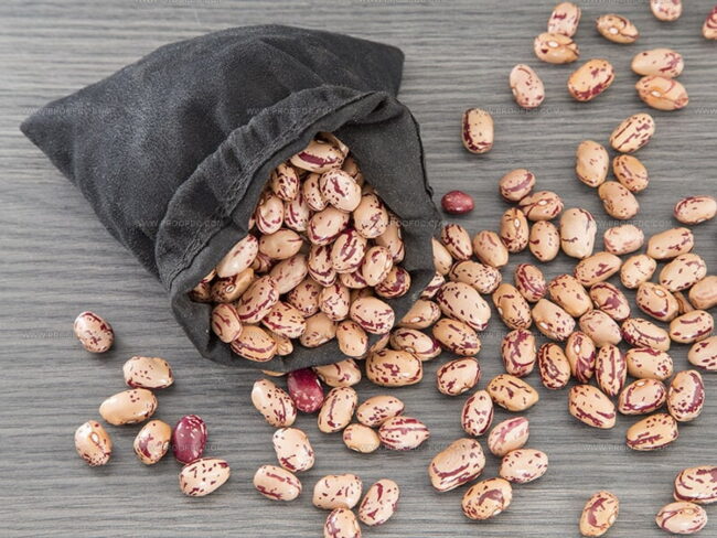 Exploring Pinto Beans