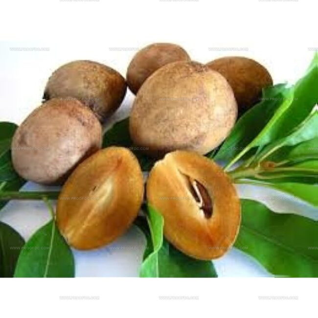 Sapodilla