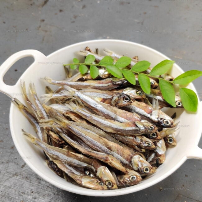 Anchovies