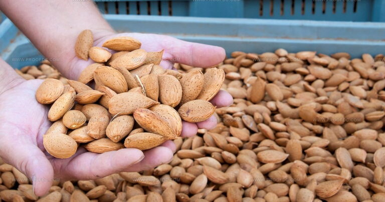 21 Flavorful Italian Nuts You Need to Discover Today