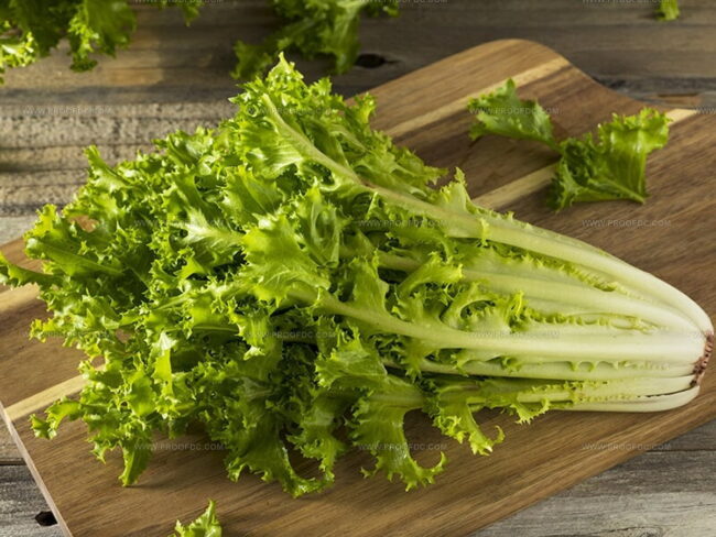 What Is Frisee? Taste, Texture, and Culinary Role