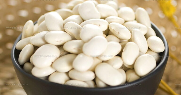 23 Amazing European Beans Every Food Lover Needs To Know